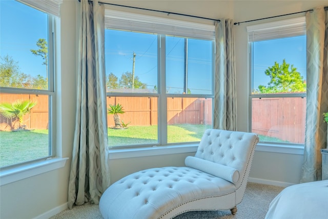 sitting room with light carpet