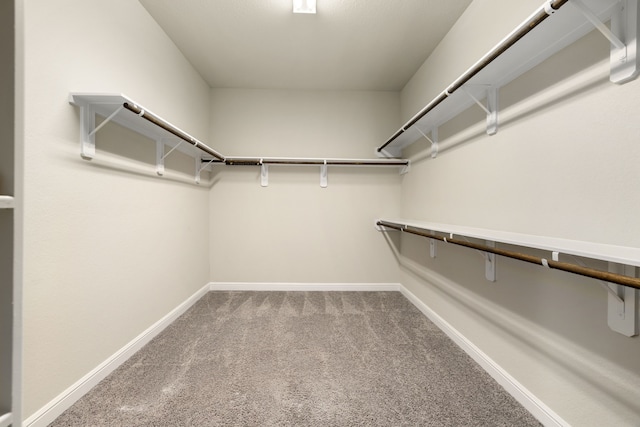 walk in closet with carpet