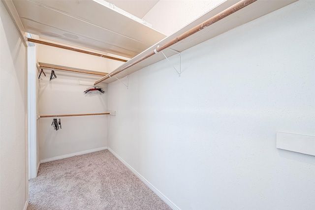 walk in closet with light carpet