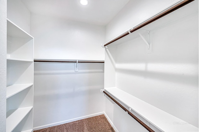 spacious closet with carpet flooring