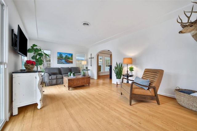 living room featuring light hardwood / wood-style floors