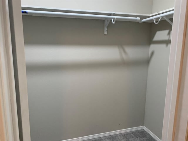 spacious closet with carpet