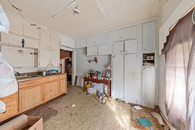 kitchen featuring light brown cabinetry and sink