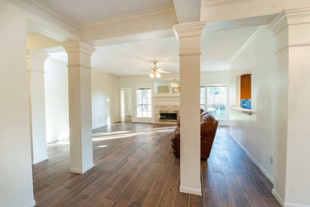 unfurnished living room with ceiling fan, crown molding, and dark wood-type flooring