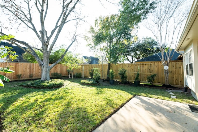 view of yard featuring a patio