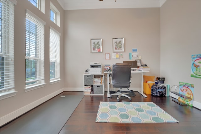 office area with dark hardwood / wood-style flooring and a wealth of natural light