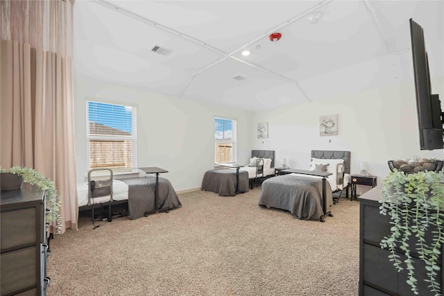 bedroom with carpet flooring and multiple windows