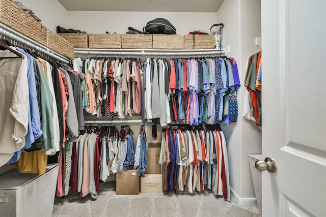 spacious closet with carpet