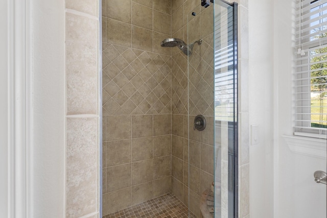 bathroom with walk in shower