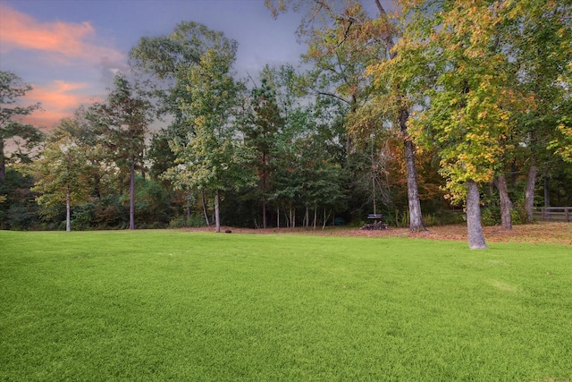 view of yard at dusk