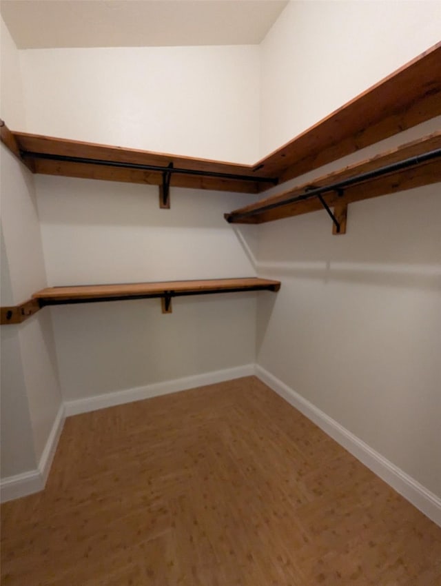 spacious closet with hardwood / wood-style flooring