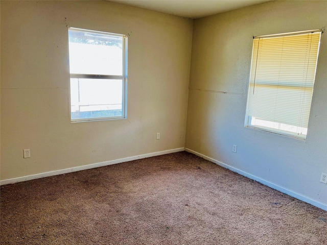 spare room featuring carpet