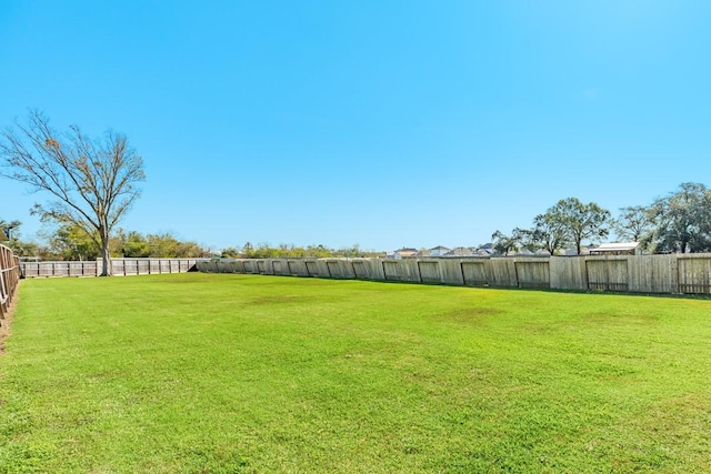 view of yard