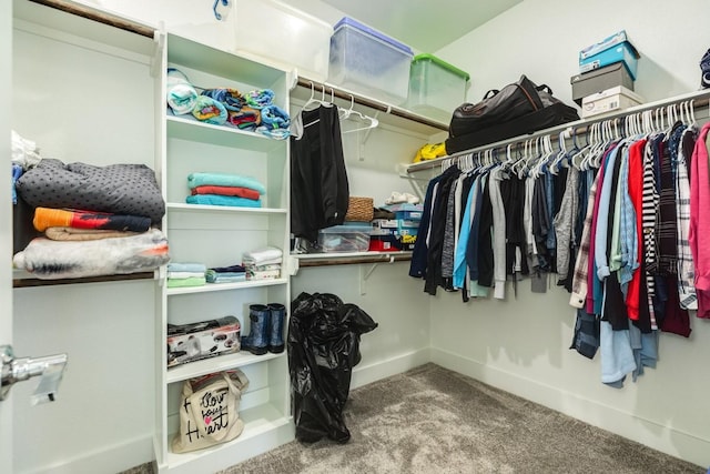 walk in closet featuring carpet