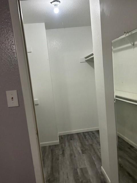 walk in closet featuring dark wood-type flooring