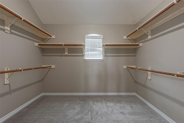 spacious closet with carpet