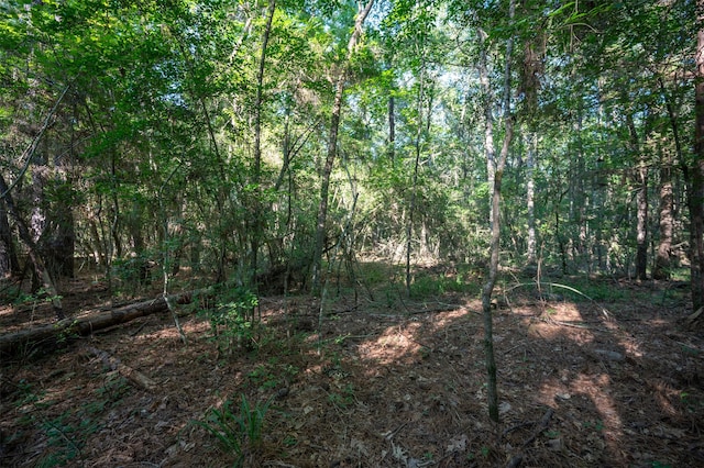 Listing photo 3 for tbd Cr 3000, Woodville TX 75979