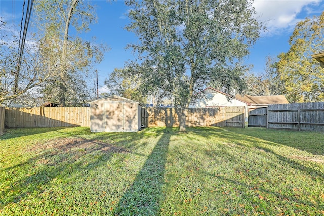 view of yard with a shed