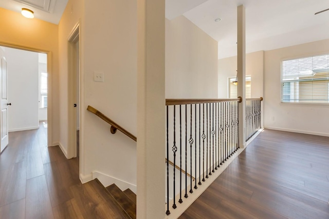 hallway with dark hardwood / wood-style flooring