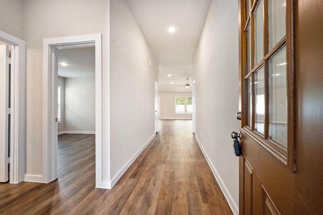 corridor featuring dark wood-type flooring