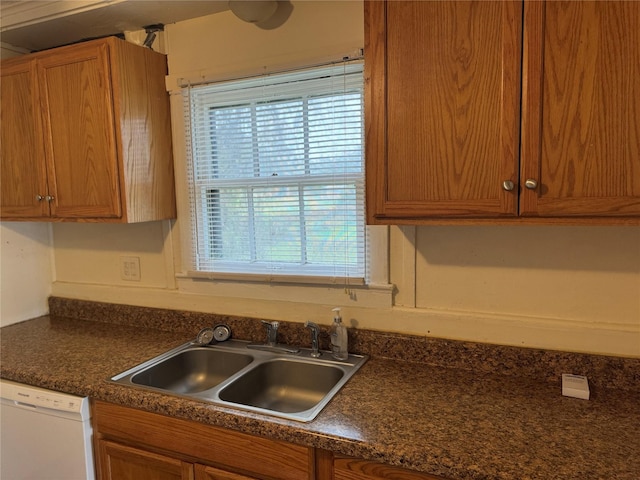 kitchen featuring dishwasher and sink