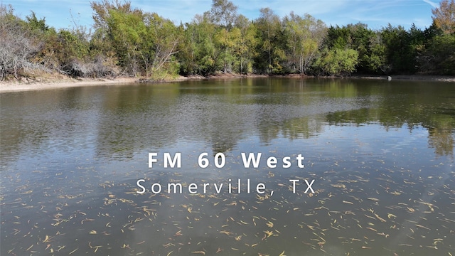 TBD Fm-60, Somerville TX, 77879 land for sale