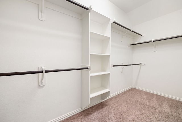 walk in closet featuring carpet floors