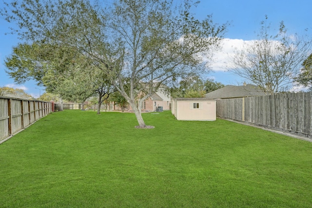 view of yard with a storage unit