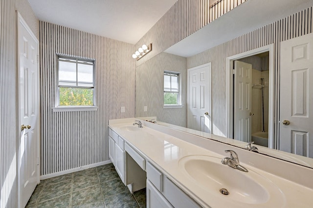 bathroom featuring vanity and a healthy amount of sunlight