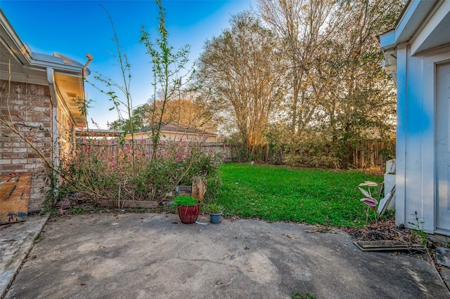 view of yard featuring a patio area