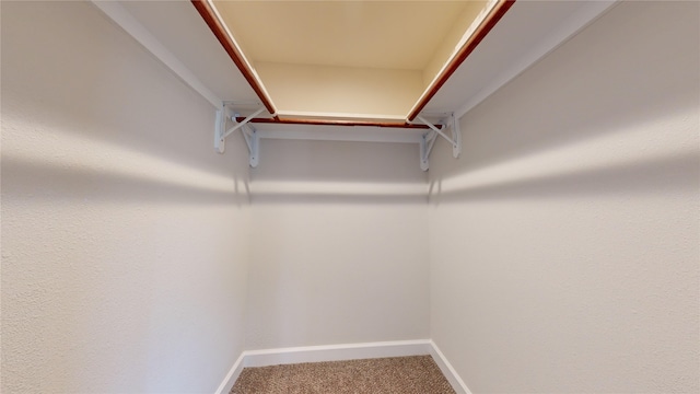 walk in closet featuring carpet flooring