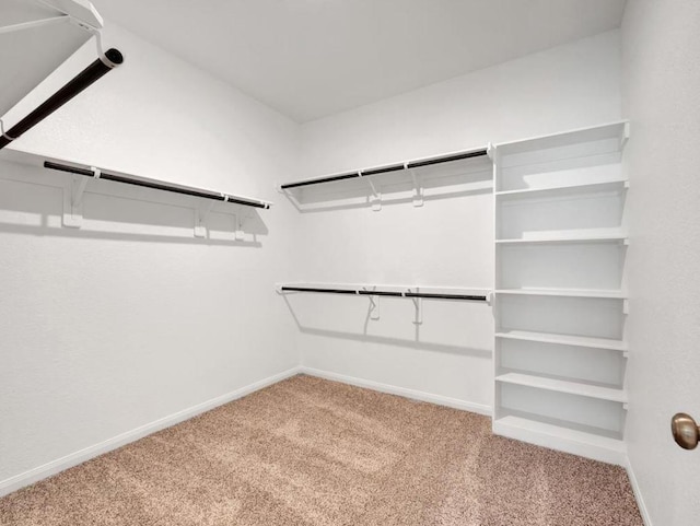 spacious closet featuring light colored carpet