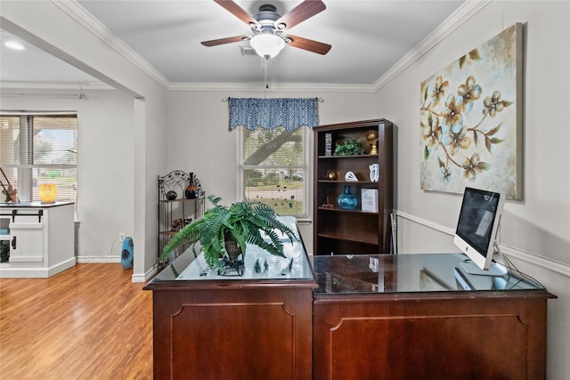 office featuring ornamental molding, ceiling fan, and light wood-type flooring