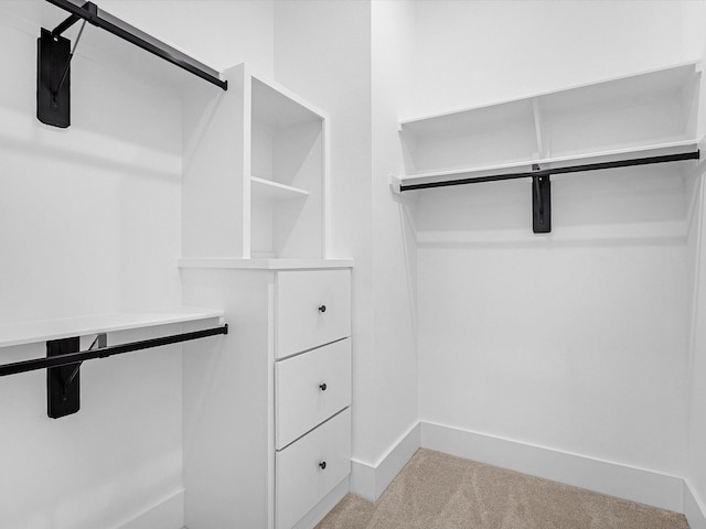 spacious closet featuring light colored carpet