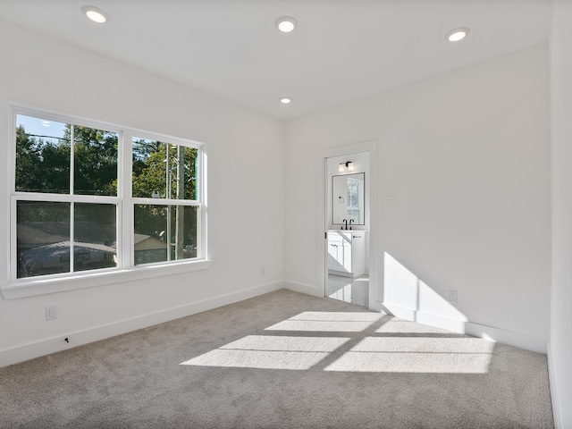 spare room featuring light colored carpet