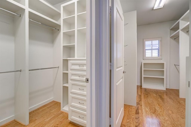 spacious closet with light hardwood / wood-style floors