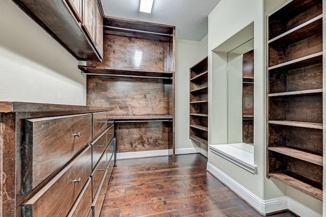 spacious closet with dark hardwood / wood-style floors