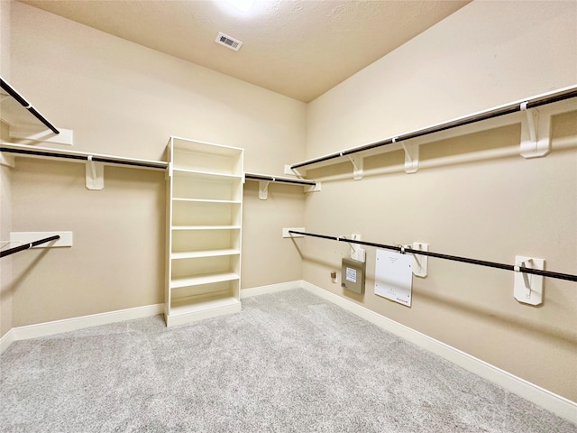 walk in closet featuring carpet flooring