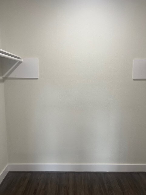 walk in closet with dark wood finished floors