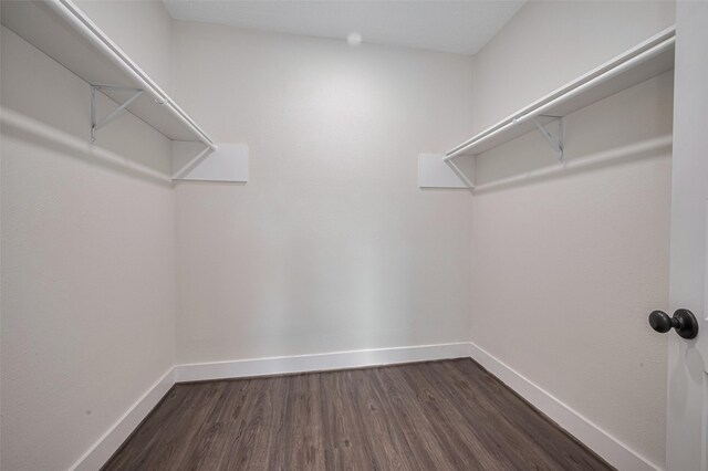 2206 Hoskins Dr, Houston, TX 77080 - walk in closet featuring dark wood-type flooring