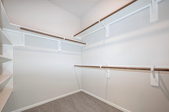 walk in closet featuring carpet