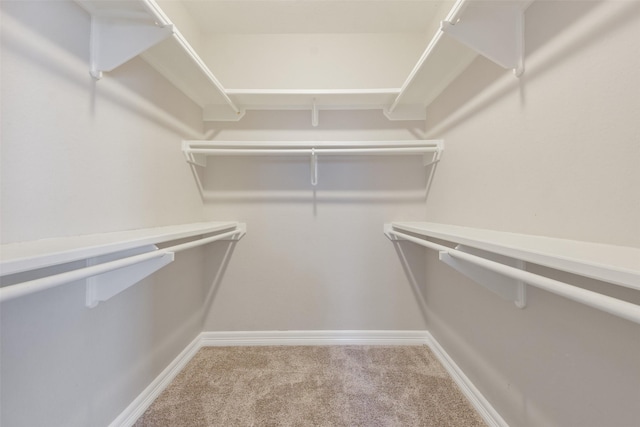 spacious closet with carpet flooring