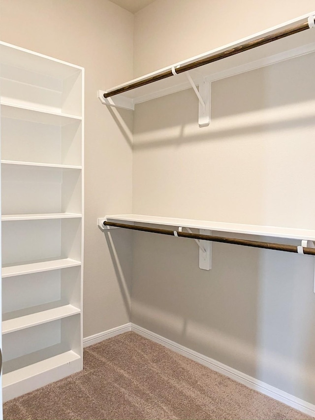 walk in closet featuring carpet flooring