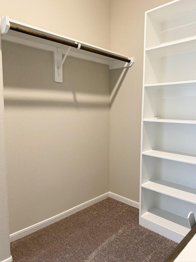 walk in closet featuring dark carpet