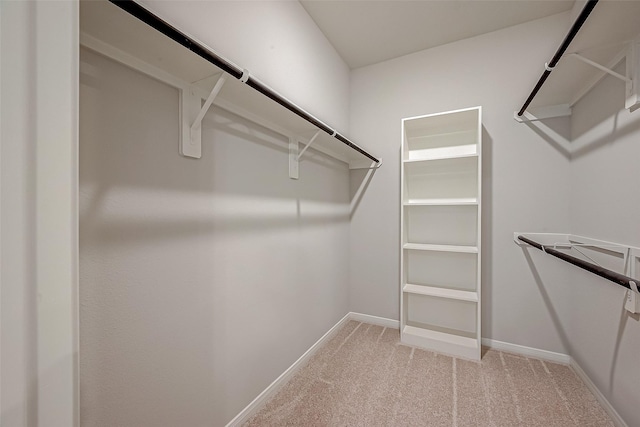 walk in closet with light colored carpet