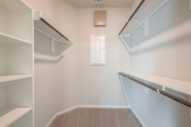 spacious closet featuring carpet flooring