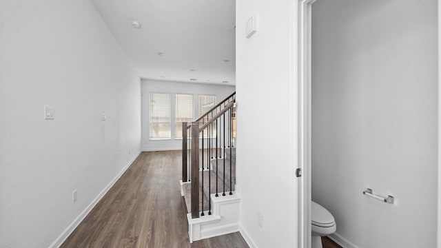 stairs featuring hardwood / wood-style flooring