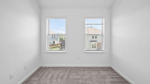 carpeted empty room featuring a wealth of natural light