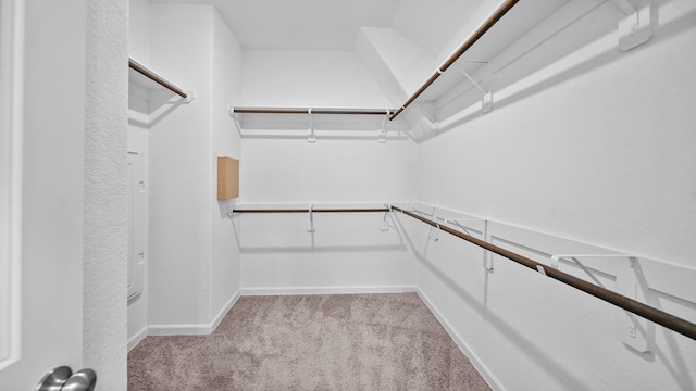 spacious closet featuring light colored carpet