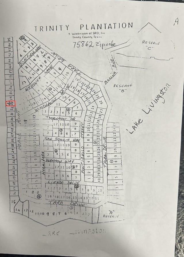 LOT33 Peach Point Ln, Trinity TX, 75862 land for sale